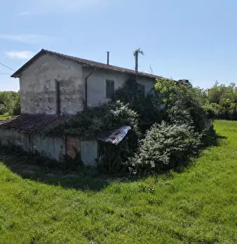 Foto annuncio 11