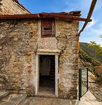 Foto annuncio 6
