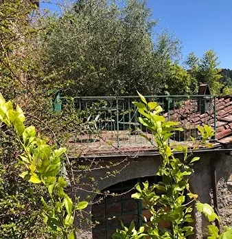 Foto annuncio 12