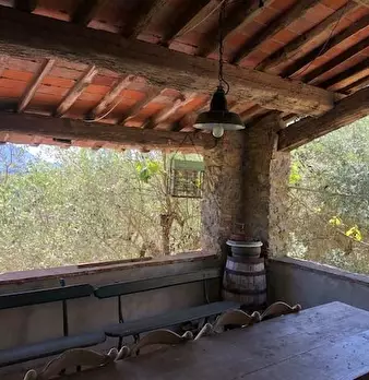 Foto annuncio 7
