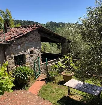 Foto annuncio 10