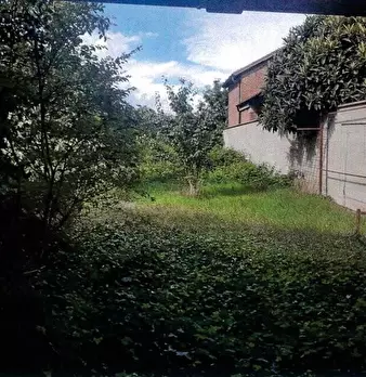 Foto annuncio 2