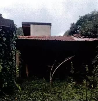 Foto annuncio 3