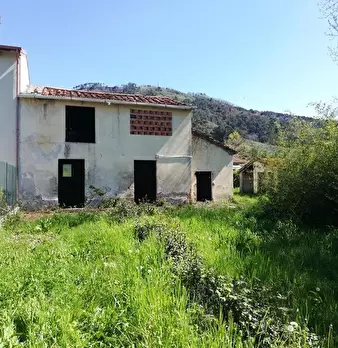 Foto annuncio 1