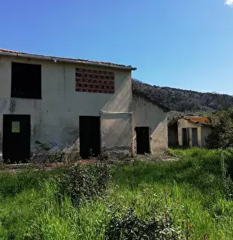 Foto annuncio 2