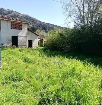 Foto annuncio 6
