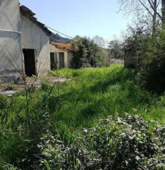 Foto annuncio 4
