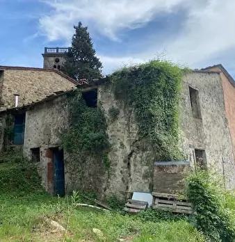Foto annuncio 29