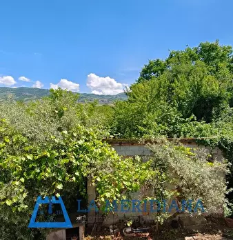 Foto annuncio 24