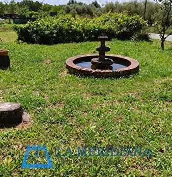 Foto annuncio 26