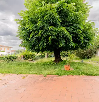 Foto annuncio 34
