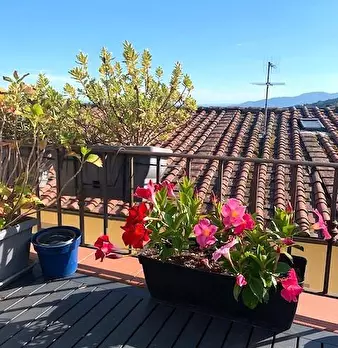 Foto annuncio 16