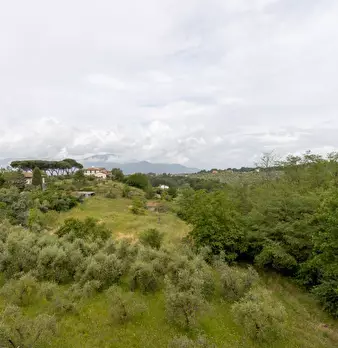 Foto annuncio 11
