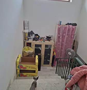 Foto annuncio 10