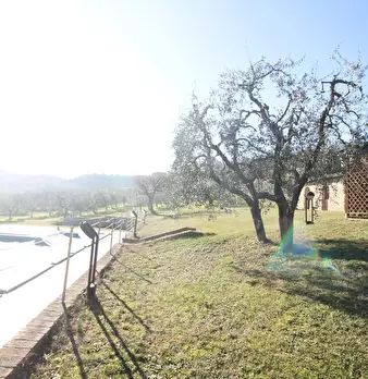 Foto annuncio 43