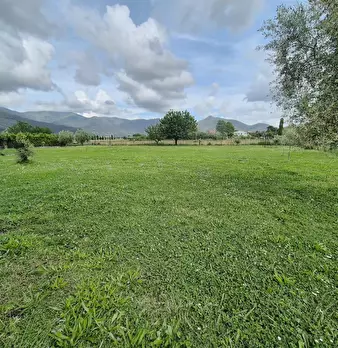 Foto annuncio 25
