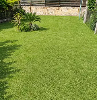Foto annuncio 11