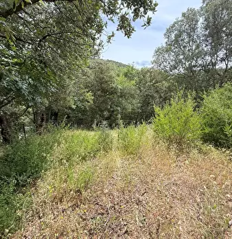 Foto annuncio 20