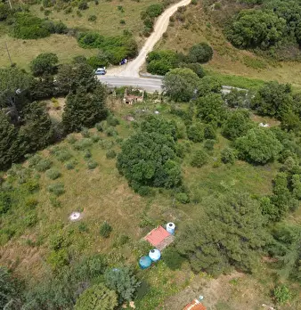 Foto annuncio 11