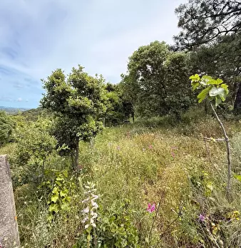 Foto annuncio 31