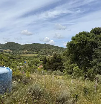 Foto annuncio 26