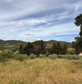 Foto annuncio 35
