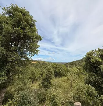 Foto annuncio 30