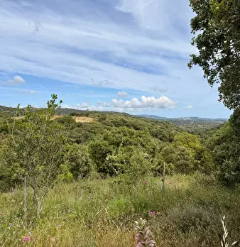 Foto annuncio 28