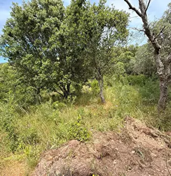 Foto annuncio 23