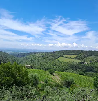 Foto annuncio 18