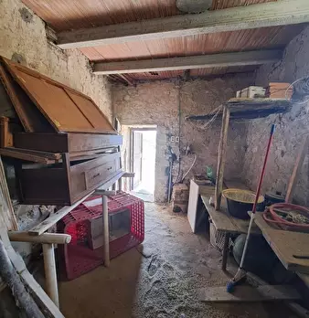 Foto annuncio 19