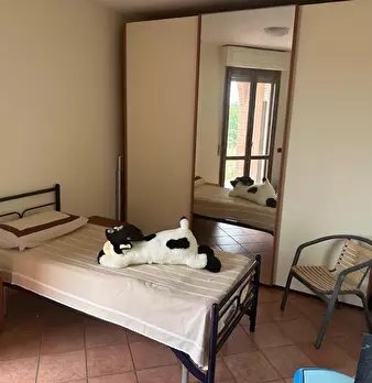 Foto annuncio 11