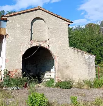 Foto annuncio 10