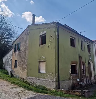 Foto annuncio 44