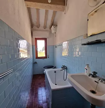Foto annuncio 53