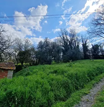 Foto annuncio 17