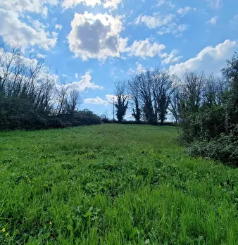 Foto annuncio 10