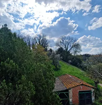 Foto annuncio 32