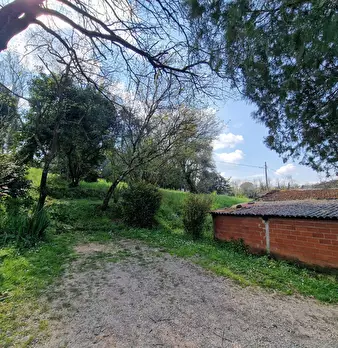 Foto annuncio 13