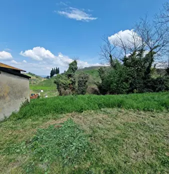Foto annuncio 59
