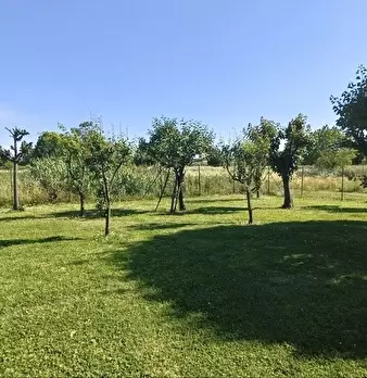 Foto annuncio 35