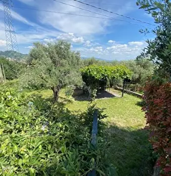 Foto annuncio 11