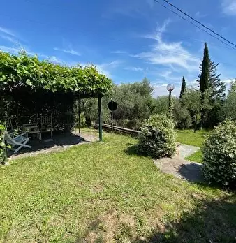 Foto annuncio 56