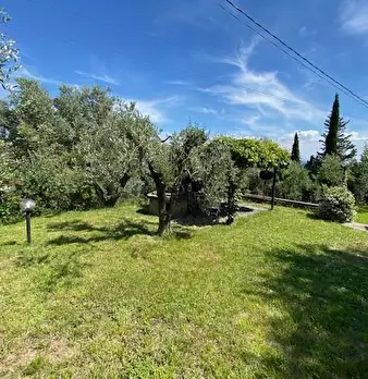 Foto annuncio 55