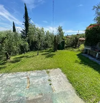 Foto annuncio 57