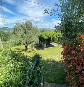Foto annuncio 12
