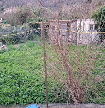 Foto annuncio 20