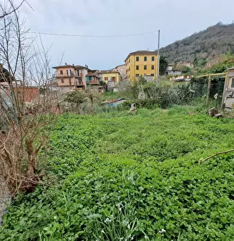 Foto annuncio 18