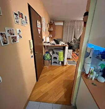 Foto annuncio 12