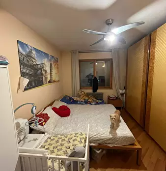 Foto annuncio 10
